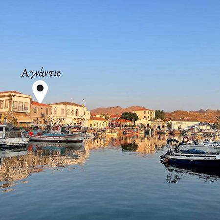 «Αγναντιο L» Δωμάτιο Με Μοναδική Θέα! มิรินา ภายนอก รูปภาพ