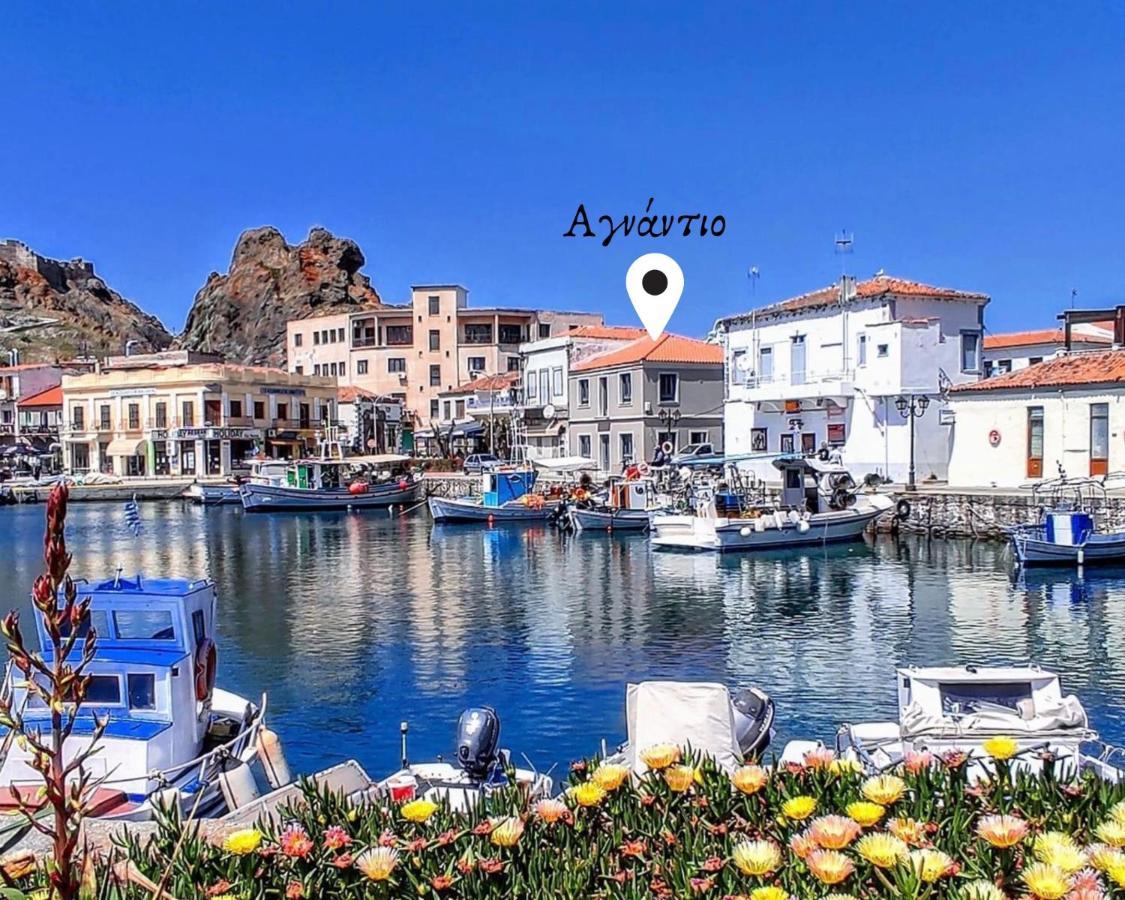 «Αγναντιο L» Δωμάτιο Με Μοναδική Θέα! มิรินา ภายนอก รูปภาพ