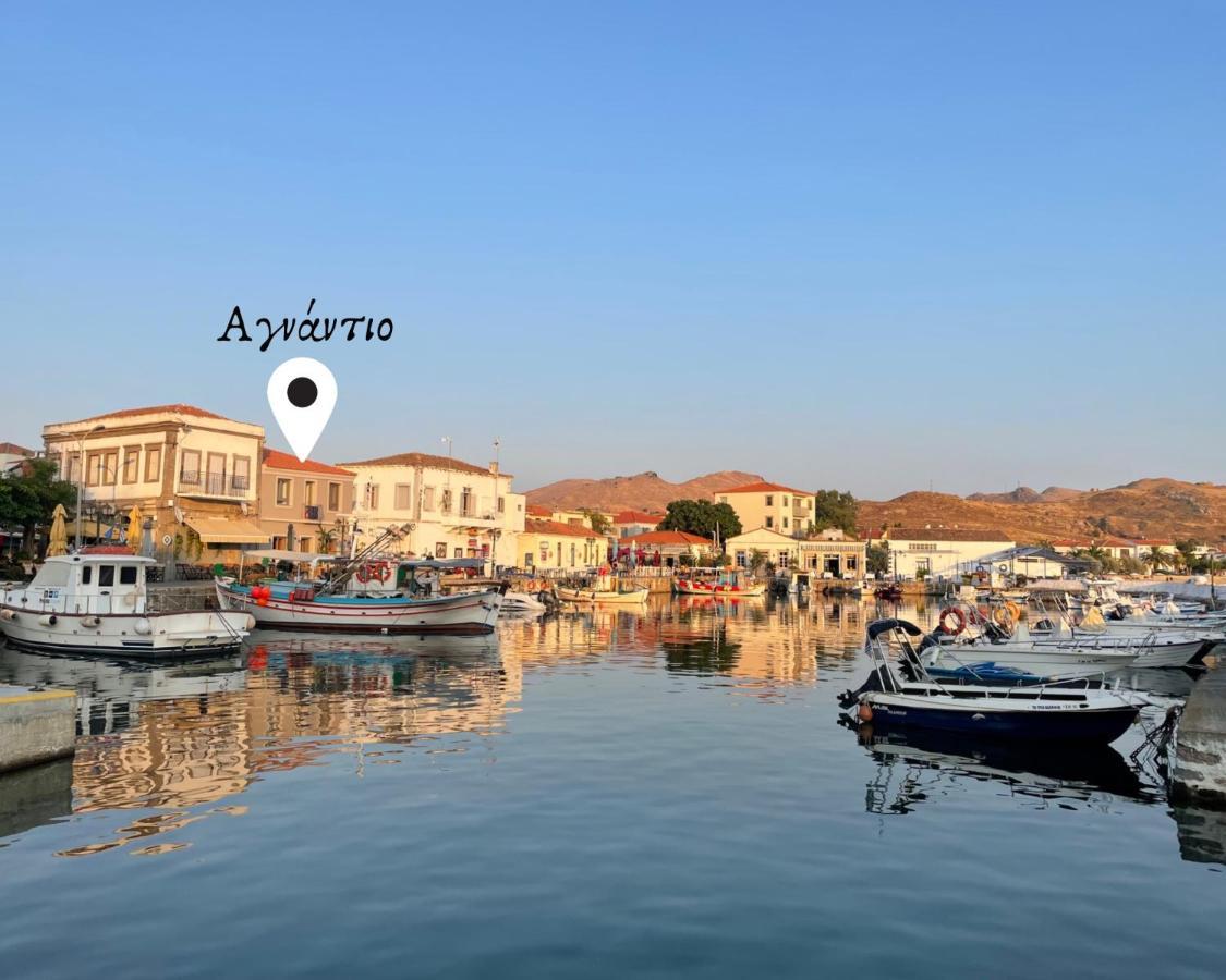 «Αγναντιο L» Δωμάτιο Με Μοναδική Θέα! มิรินา ภายนอก รูปภาพ